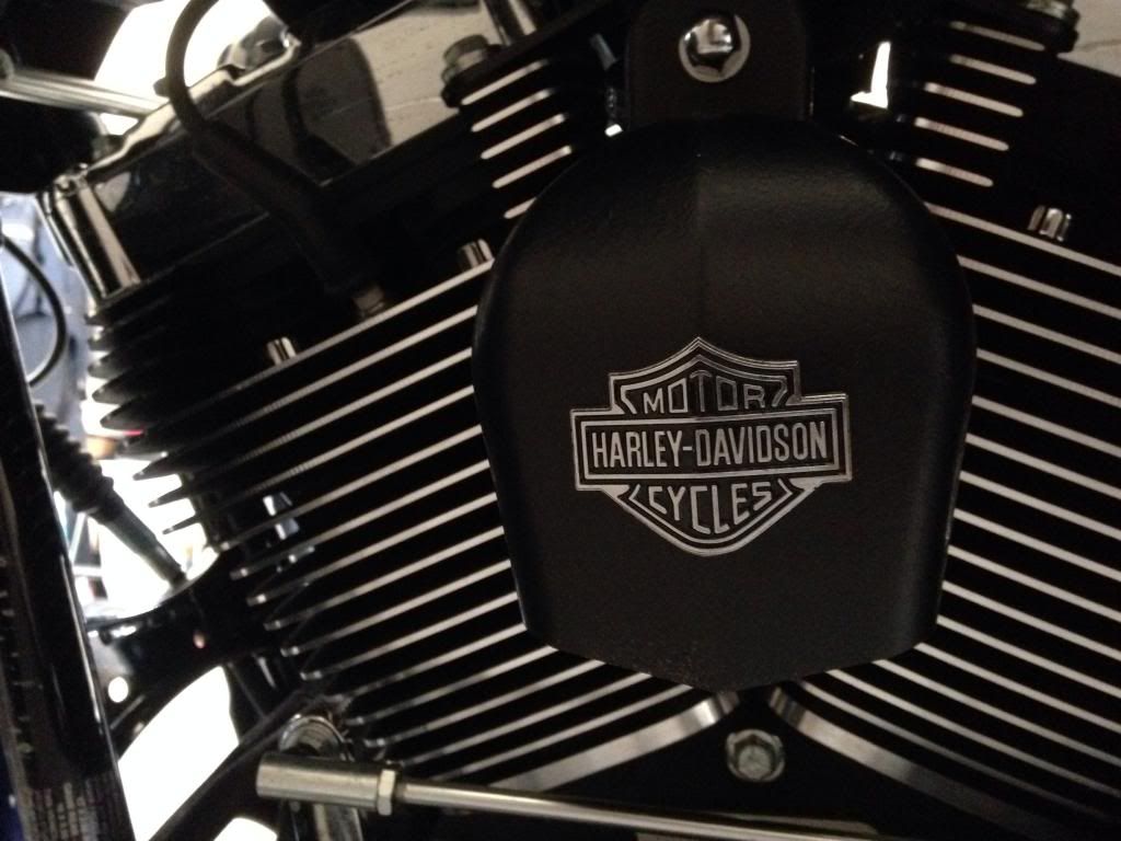 Cheap customized horn cover Harley Davidson Forums